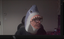 billtshark emote for Discord