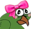 birdgeCute emote for Discord