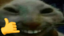 Aufxdd emote for Discord