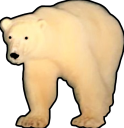 ATXPolar static emote for Discord, Twitch and Slack