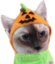 AthenaWeen emote for Discord