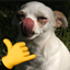 AufDog emote for Discord
