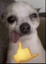 aufdogg emote for Discord