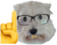 aucActually emote for Discord