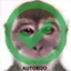 autorizo emote for Discord