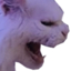 AUGHpollo emote for Discord