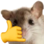 AufSimli emote for Discord