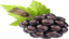 aurBlackberry emote for Discord