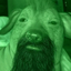 AvoidingTheCreature emote for Discord