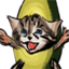 avocatohug emote for Discord