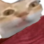 AwakeBedErmge emote for Discord
