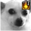 awkdippedincumanddynamis emote for Discord