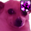 awkdippedinlove emote for Discord