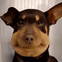 AwkwardLookingAtYou static emote for Discord, Twitch and Slack