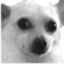 awkdippedinflour emote for Discord