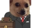awkaygebusiness emote for Discord