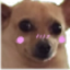 awkblush emote for Discord