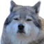 AWAkebutatwhatcost emote for Discord
