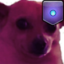 awkdippedindarksaccord emote for Discord