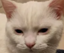 awakebutatwhatcost emote for Discord