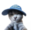 AWESOMEKITTY emote for Discord