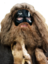 awoHagrid emote for Discord