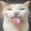 Bleh emote for Discord