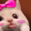 Bluwu emote for Discord