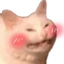 blushcat emote for Discord