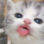 bjeh emote for Discord