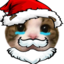 BibleCat emote for Discord