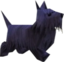 BlueDog emote for Discord