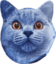 Blueberry emote for Discord
