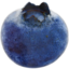 blueberry emote for Discord