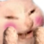 Blushcat emote for Discord