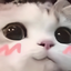 BlushyCat emote for Discord