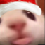 BLA emote for Discord