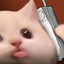 Blaloo emote for Discord