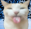 BLEHHHH emote for Discord