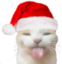 Bleh emote for Discord