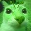 blerpcat emote for Discord