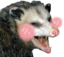 blushPOSSUM emote for Discord