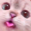 BLEP emote for Discord
