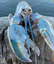BlueLobster emote for Discord