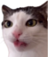 blep emote for Discord