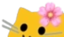 blobcatpeek emote for Discord