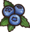 Blueberries emote for Discord