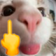 BlehFinger emote for Discord