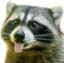 BLEP emote for Discord