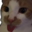 Blehs emote for Discord